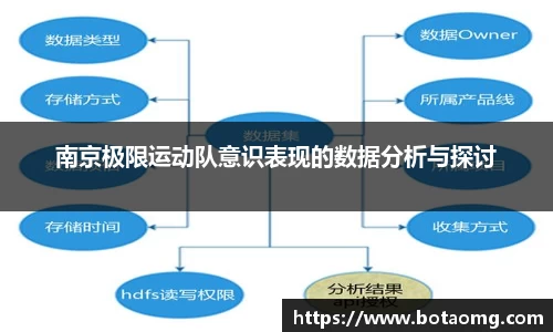 南京极限运动队意识表现的数据分析与探讨