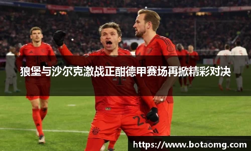 狼堡与沙尔克激战正酣德甲赛场再掀精彩对决