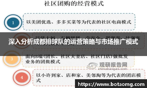深入分析成都排球队的运营策略与市场推广模式